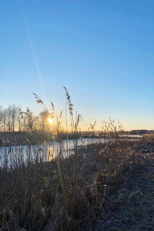 Några bilder från de senaste dagarna